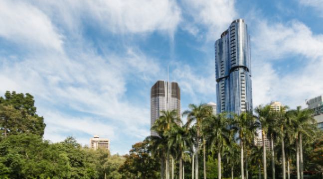 布里斯班植物园