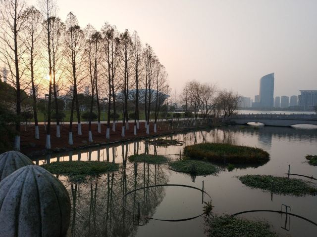 天镜湖公园旅行图片 3
