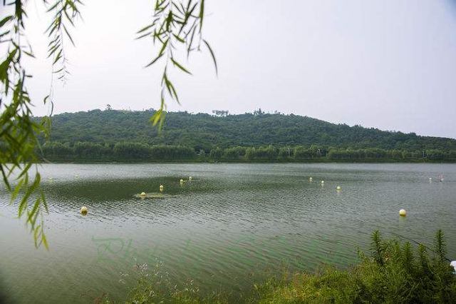 羊山公园旅行图片 1