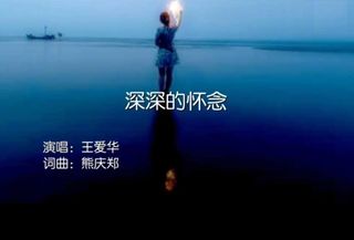 深深的怀念(2020金秋同学欢聚东山岛)