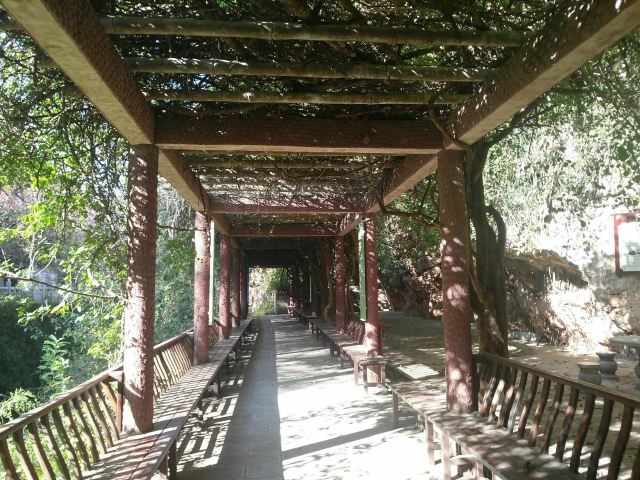界鱼石公园旅行图片 3