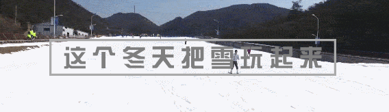“放价”了,一起遛娃