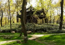 林州天平山风景区-林州-一杯清茶看春秋！