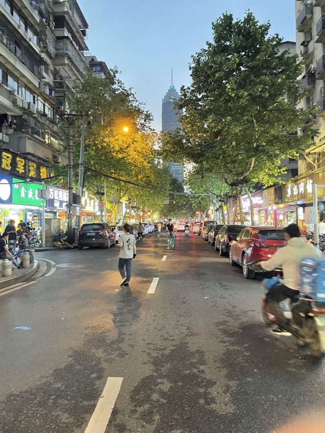 万松文化园旅行图片 1
