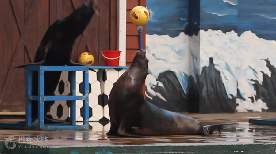 曲江海洋極地公園