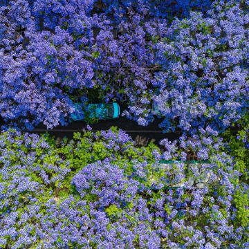 昆明+西昌6日5晚拼小团