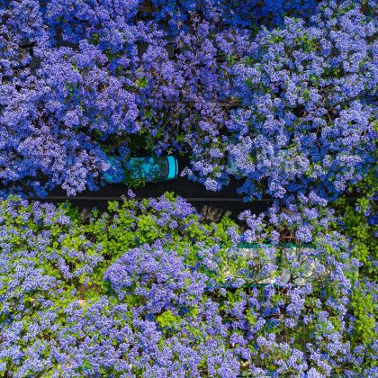 昆明+西昌6日5晚拼小团