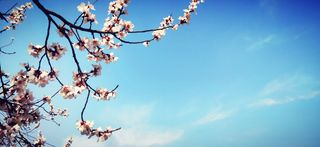 成都到拉萨13天川藏线看林芝桃花纳木错冰湖