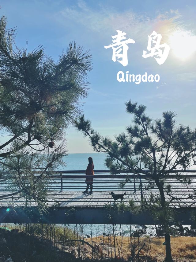 凤凰山公园旅行图片 2