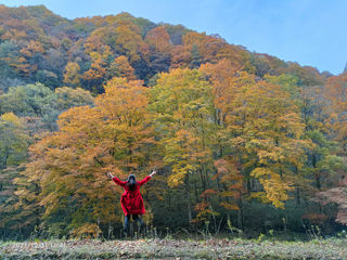自驾光雾山,赴一场秋景盛宴