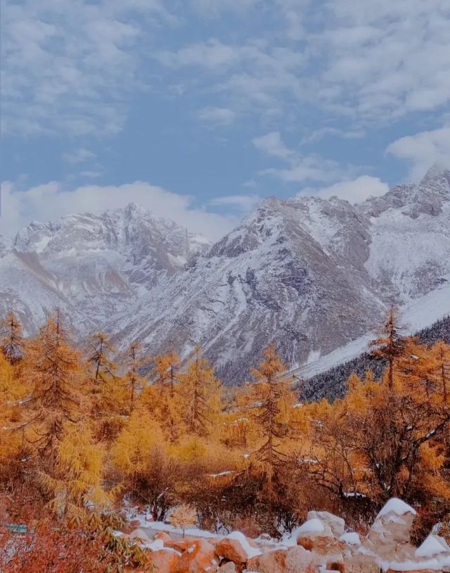 川西红枫岭旅行图片 2