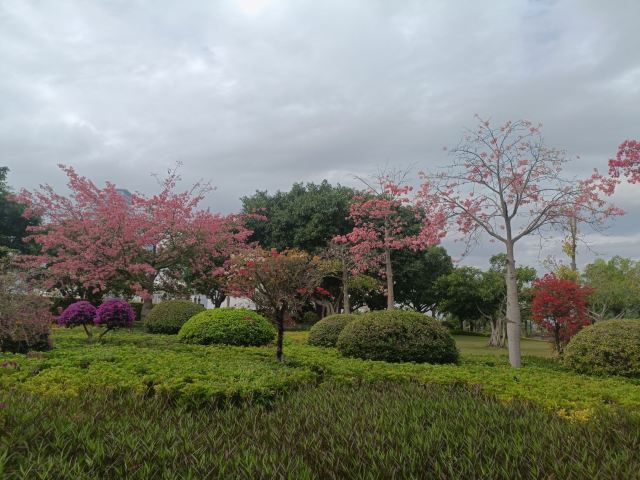 厦门白鹭洲公园旅行图片 2