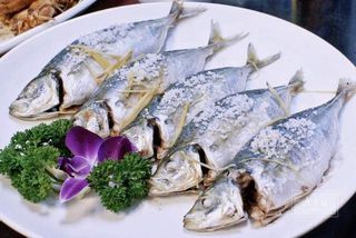 原来养殖的巴浪鱼这么油润细腻，我在八市这家排挡吃到了！