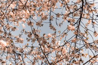 女神节|学会爱自己，就是最好的礼物