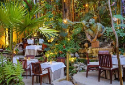 Cafe des Artistes美食图片