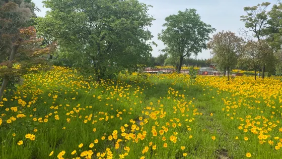 柳孜運河遺址國家文化公園
