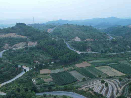 柳州市柳东百花岭