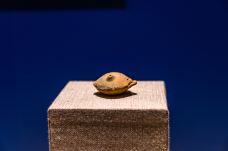 哈密博物馆-哈密