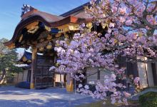 二条城景点图片