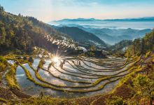 紫鹊界梯田景点图片