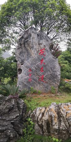 西京古道-乳源-阿诚的白日梦