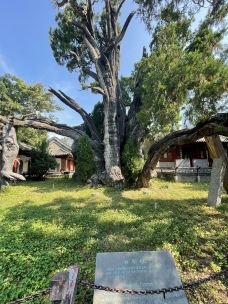 嵩阳景区-登封-YoYo_3W1K3S9N