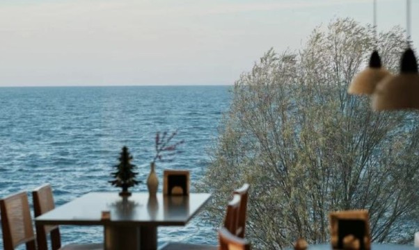 湖与Cafe·270度全湖景下午茶(太湖店)