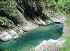 慕谷慕鱼生态廊道-花莲-大姐小露開心果