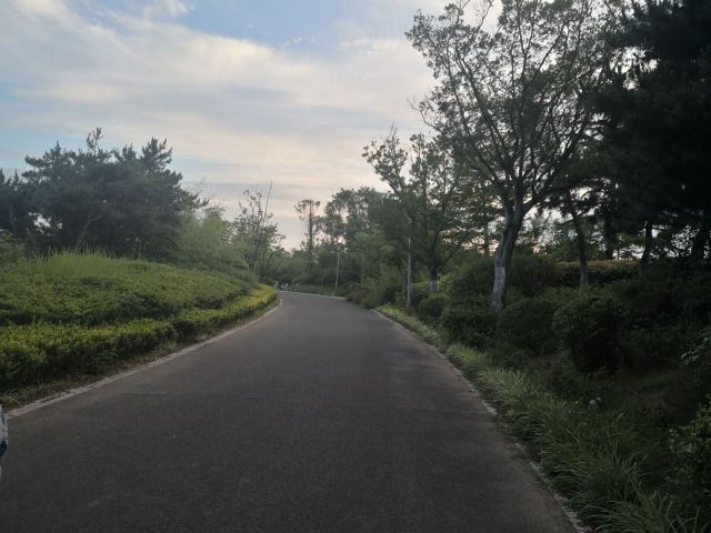 唐岛湾滨海公园-观景台旅行图片 4