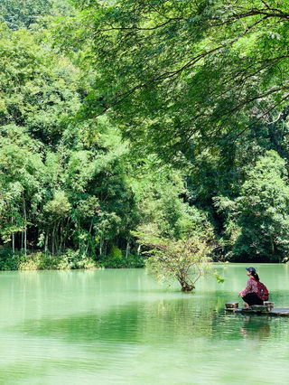 2020夏自驾看贵州一片青山绿水（黄果树、万峰林、荔波、苗寨、加榜、侗寨、镇远）