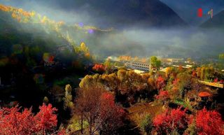 金川,红红红红红了!