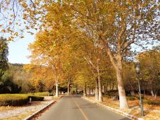 棒棰岛-大连-一二yier