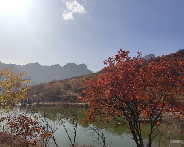 东坝公园旅行图片 1