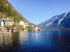 哈尔施塔特湖-哈尔施塔特-青青翠竹