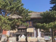 碧山寺-五台-ncyygo