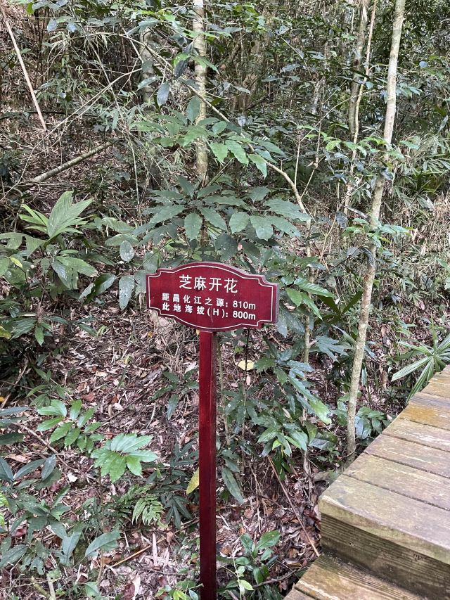 海南热带雨林国家公园五指山景区旅行图片 3