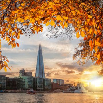 英国伦敦8日7晚私家团