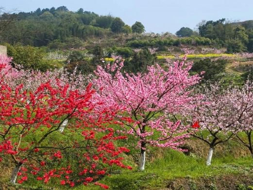 七星山镜湖桃源