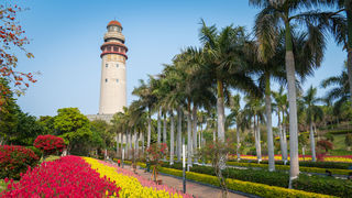 超美!厦门惊现大片金鱼草花海,现已进入盛花期!不要门票免费看!