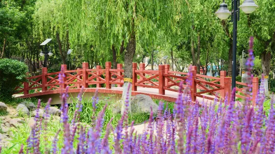 槐北公園