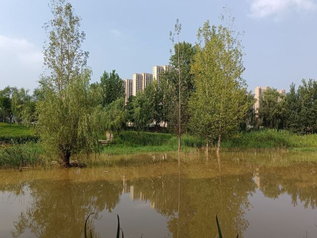 长安城市公园(樊川公园)旅行图片 3