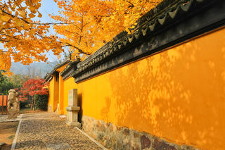 江南文化盛宴来袭！这个金秋，邀你玩转姑苏