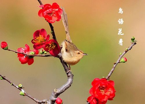 系列游记三 《云水禅心观周园》