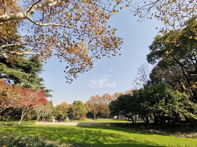 天山公园旅行图片 4