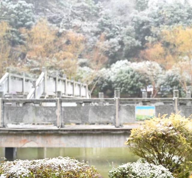 五岭公园旅行图片 3