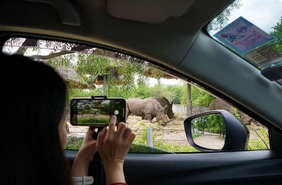 曼谷有哪些亲子游景点，孩子来了都不想走