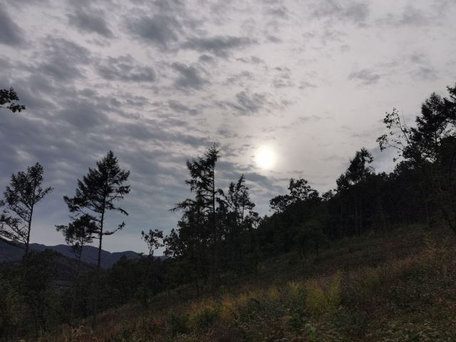 观音山公园旅行图片 9