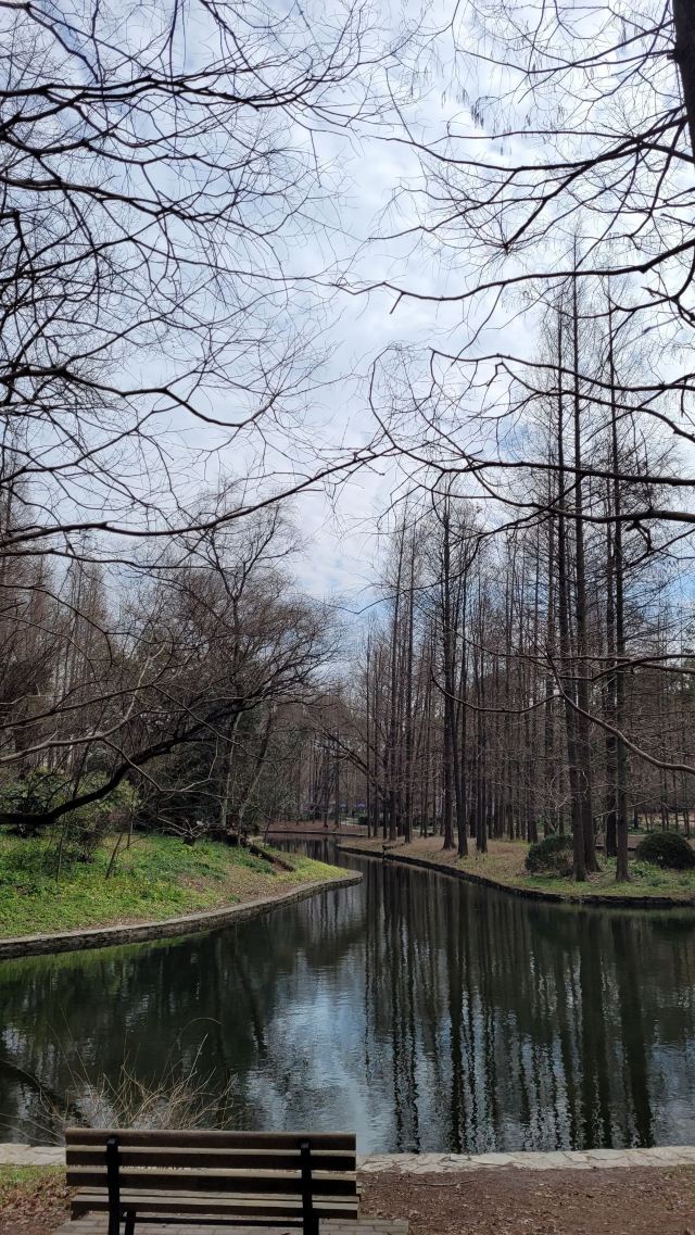 杨浦公园旅行图片 1