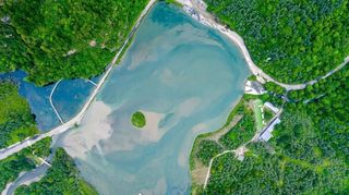 “粽”情山水，带你一起探索雪山下的森林秘境