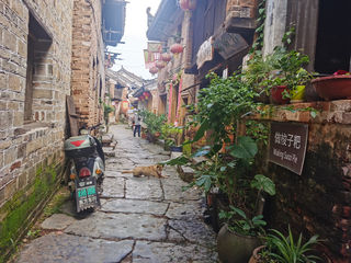 神岗村、岔山村、秀水状元村和天然金丝楠木林，从湖南到广西探秘潇贺古道